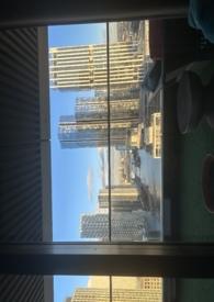 从娘胎开始入道赵平安